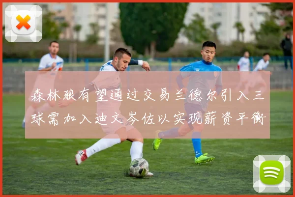 森林狼有望通过交易兰德尔引入三球需加入迪文岑佐以实现薪资平衡