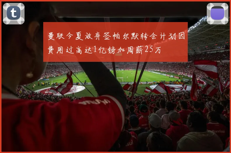 曼联今夏放弃签帕尔默转会计划因费用过高达1亿镑加周薪25万